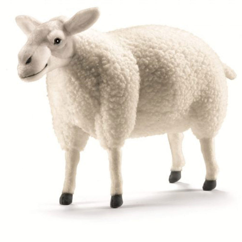 Sheep Plush Toy 35cm (Gray)