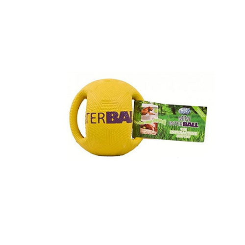 Pet Brands InterBall Interactive Dog Toy