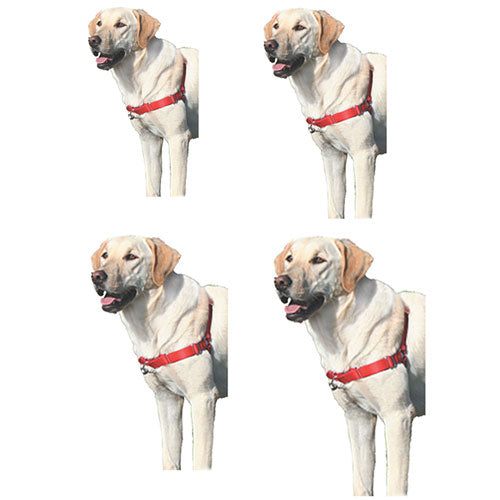 Gentle Leasder Easy Walk Dog Harness