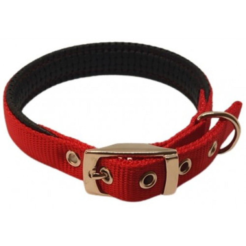 Collier de chien rembourré en nylon 75 cm