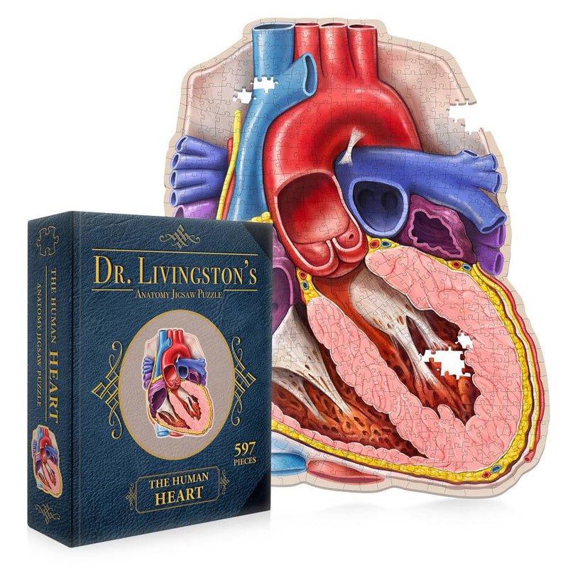 Puzzle d'anatomie du Dr Livingston