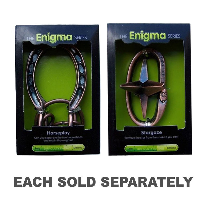 The Enigma Series Metal Puzzle