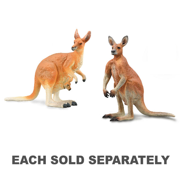 CollectA Red Kangaroo (Large)