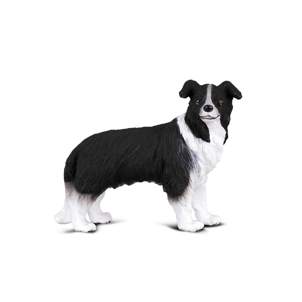 CollectA Border Collie Figure (Medium)