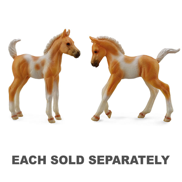 CollectA Pinto Foal Palomino Figure (Medium)