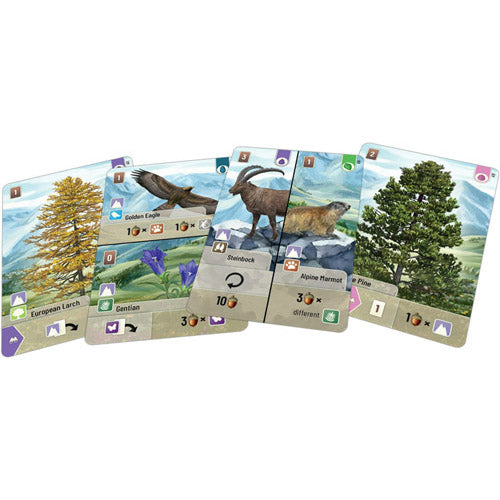 Forest Shuffle Alpine Expansion Game