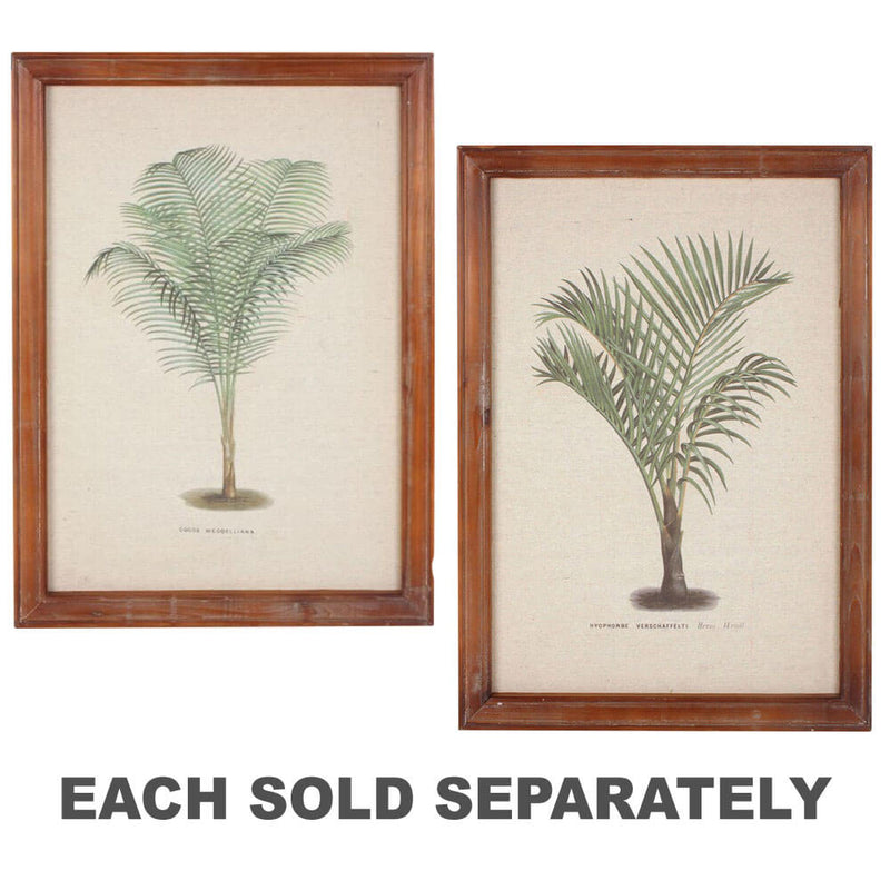 Framed Vintage Palm Wall Art (38x52x1.8cm)