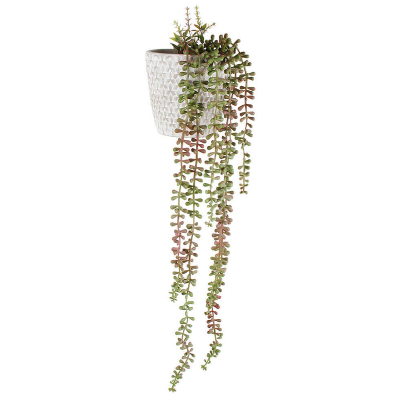 Plante en cascade Jacinda 71cm