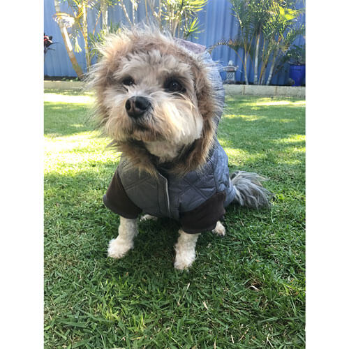 Pet Overcoat (30/40cm)