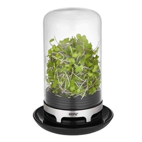 Gefu Bivita Sprouting Jar