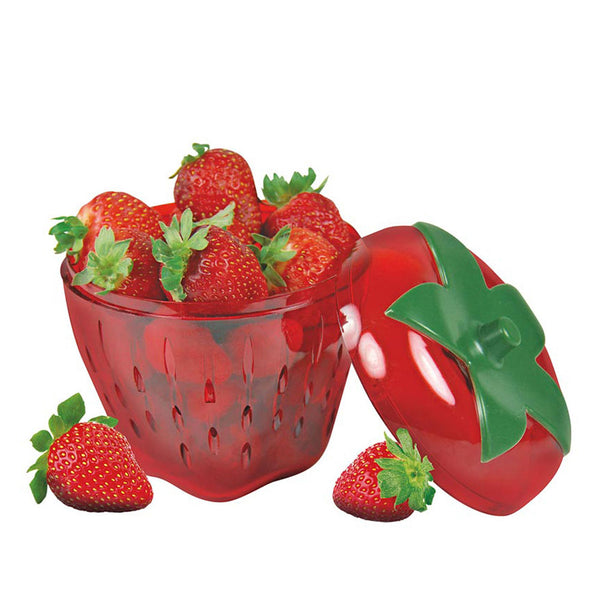 Avanti Strawberry Saver Storage Container