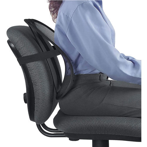 Fellowes Office Suites Support Back Rest (Mesh Back)